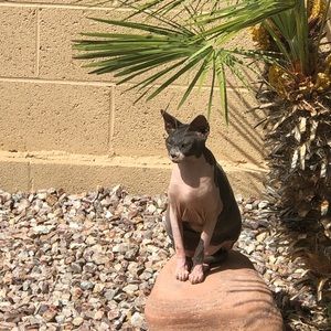 Meet your Posher, Joan